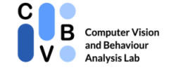 Computer Vision and Behaviour Analisys Lab (CVBLAb)